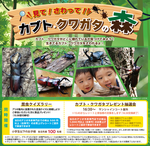見て！さわって！カブト・クワガタの森