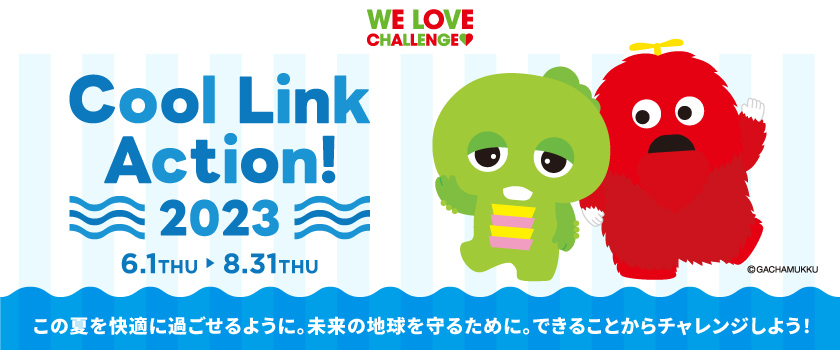 Cool Link Action2023
