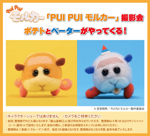 PUI PUI モルカー撮影会