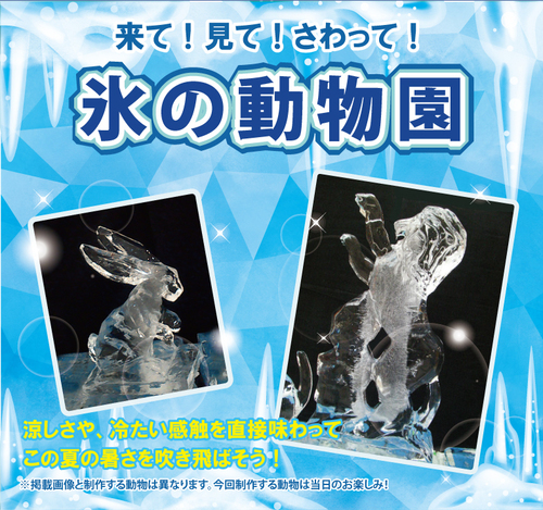 来て！見て！さわって！氷の動物園