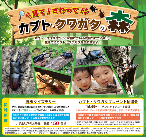 見て！さわって！カブト・クワガタの森
