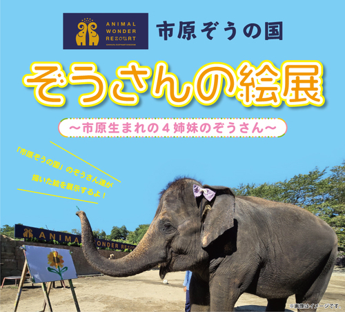 市原ぞうの国　ぞうさんの絵展～市原生まれの４姉妹のぞうさん～