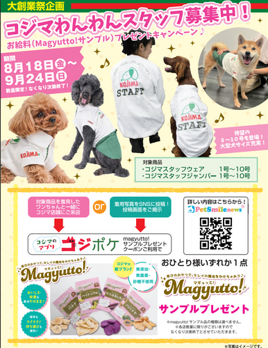 わんわんスタッフ