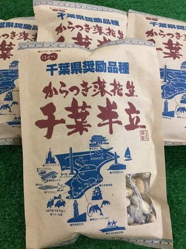 千葉県奨励品種 からつき落花生 千葉半立