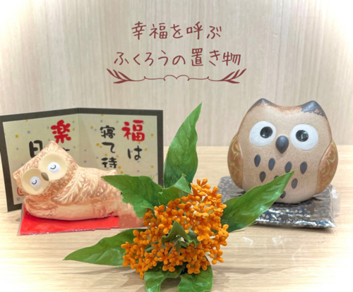 画像３