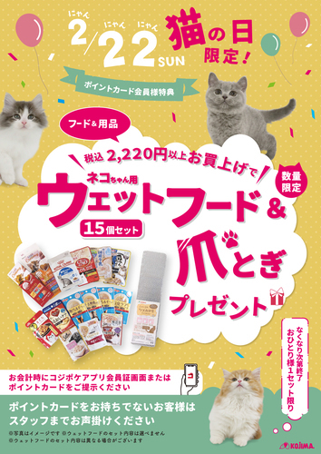2/22限定　猫の日プレゼント企画