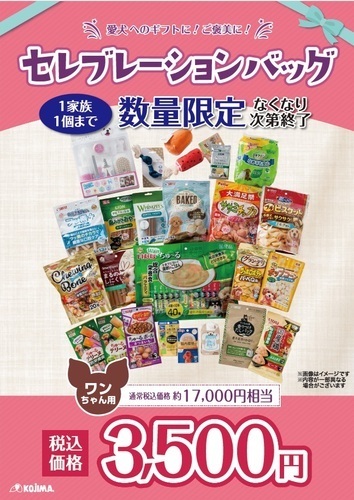 🌷セレブレーションバッグ発売🌷