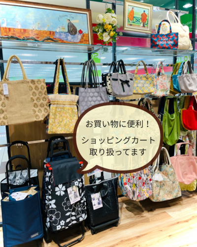 画像②