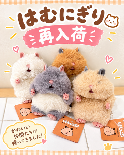 画像②